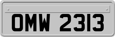 OMW2313