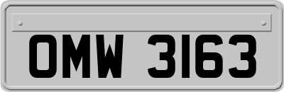 OMW3163