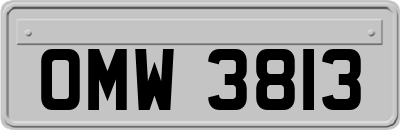 OMW3813