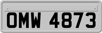 OMW4873