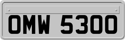 OMW5300