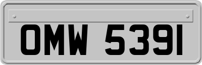 OMW5391