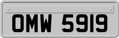 OMW5919