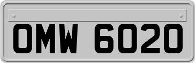 OMW6020