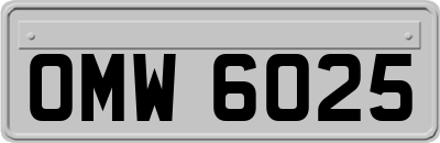 OMW6025