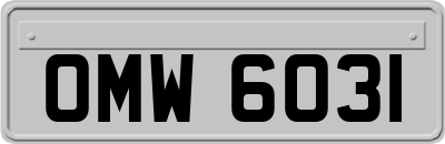 OMW6031