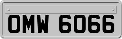 OMW6066