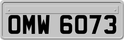 OMW6073
