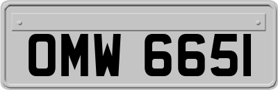 OMW6651