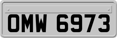 OMW6973