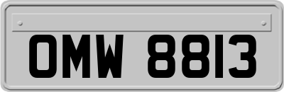 OMW8813