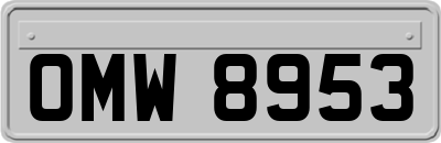 OMW8953