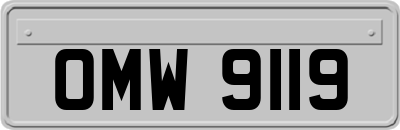 OMW9119