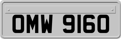 OMW9160
