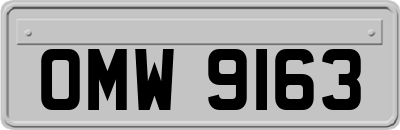 OMW9163