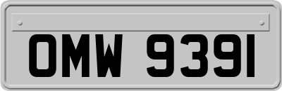OMW9391