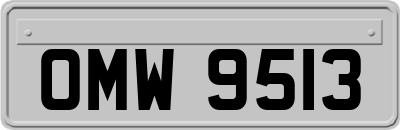 OMW9513