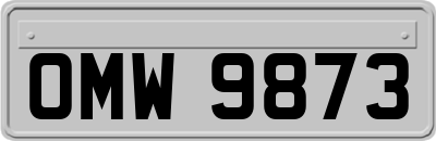 OMW9873