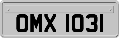 OMX1031