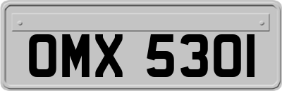 OMX5301