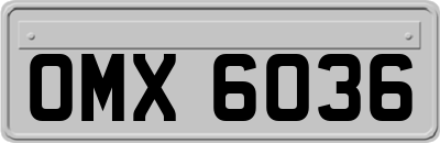 OMX6036