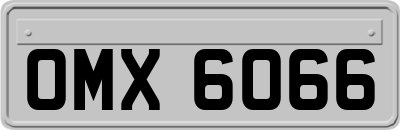 OMX6066