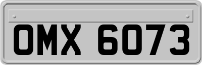 OMX6073