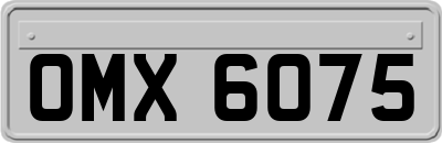 OMX6075