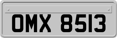 OMX8513