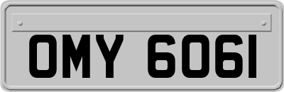 OMY6061