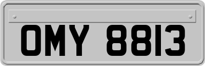 OMY8813