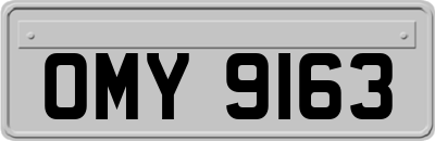 OMY9163