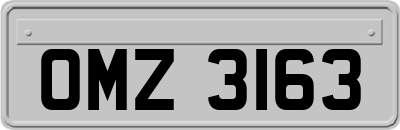 OMZ3163