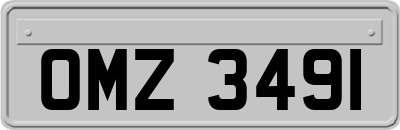 OMZ3491