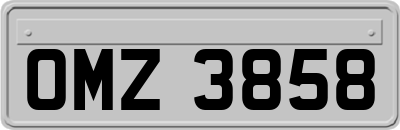 OMZ3858