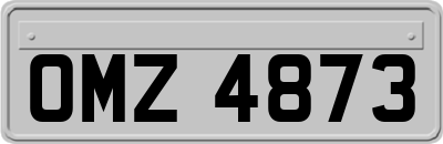 OMZ4873