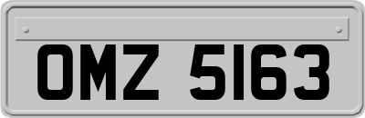 OMZ5163