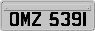 OMZ5391