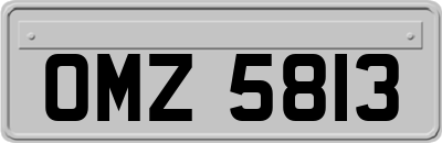 OMZ5813