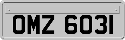 OMZ6031
