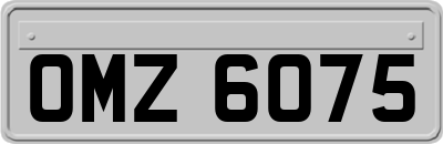 OMZ6075