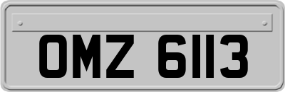 OMZ6113