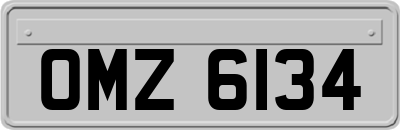 OMZ6134