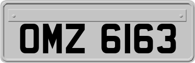 OMZ6163