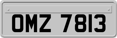 OMZ7813