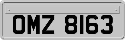 OMZ8163