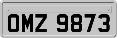 OMZ9873