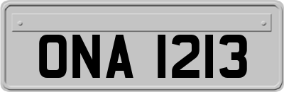 ONA1213