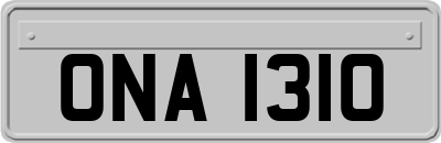 ONA1310