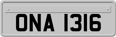 ONA1316